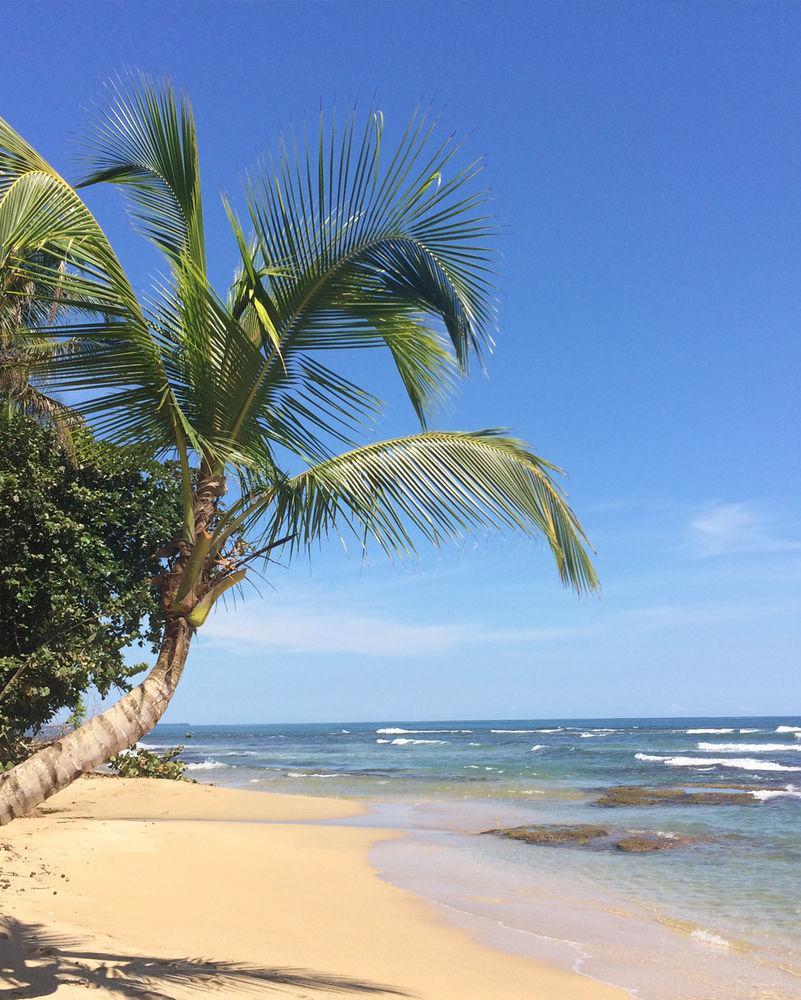 Хостел Las Casitas De Playa Negra Puerto Viejo de Talamanca Екстер'єр фото